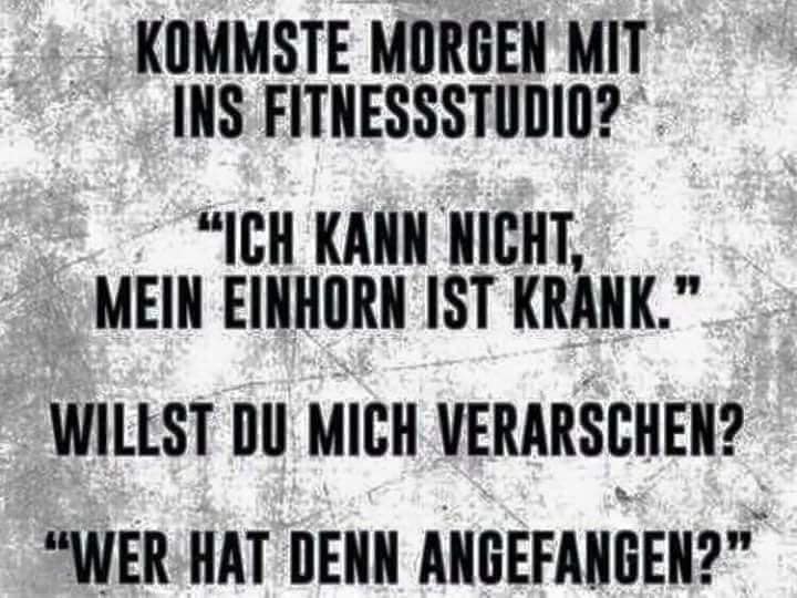 einhorn.jpg