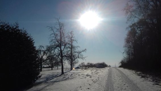 20210211_095336sonnentag.jpg