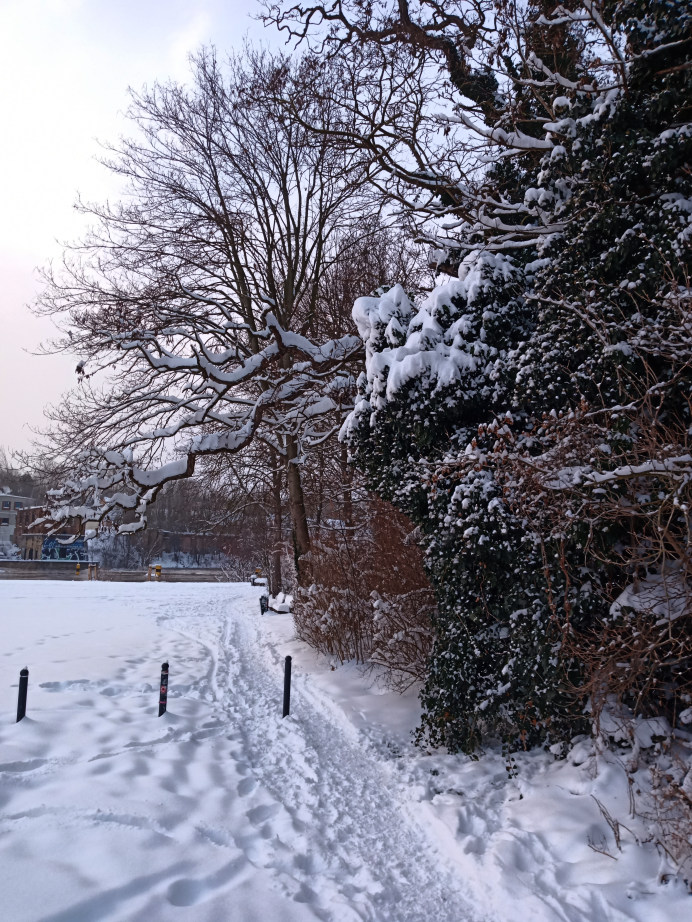 img_20210212_010215.jpg