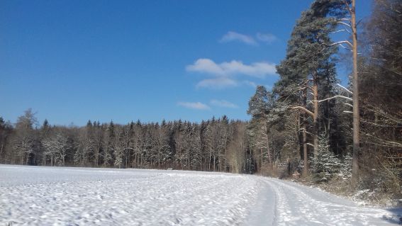20210211_100526sch__n_wetter2.jpg