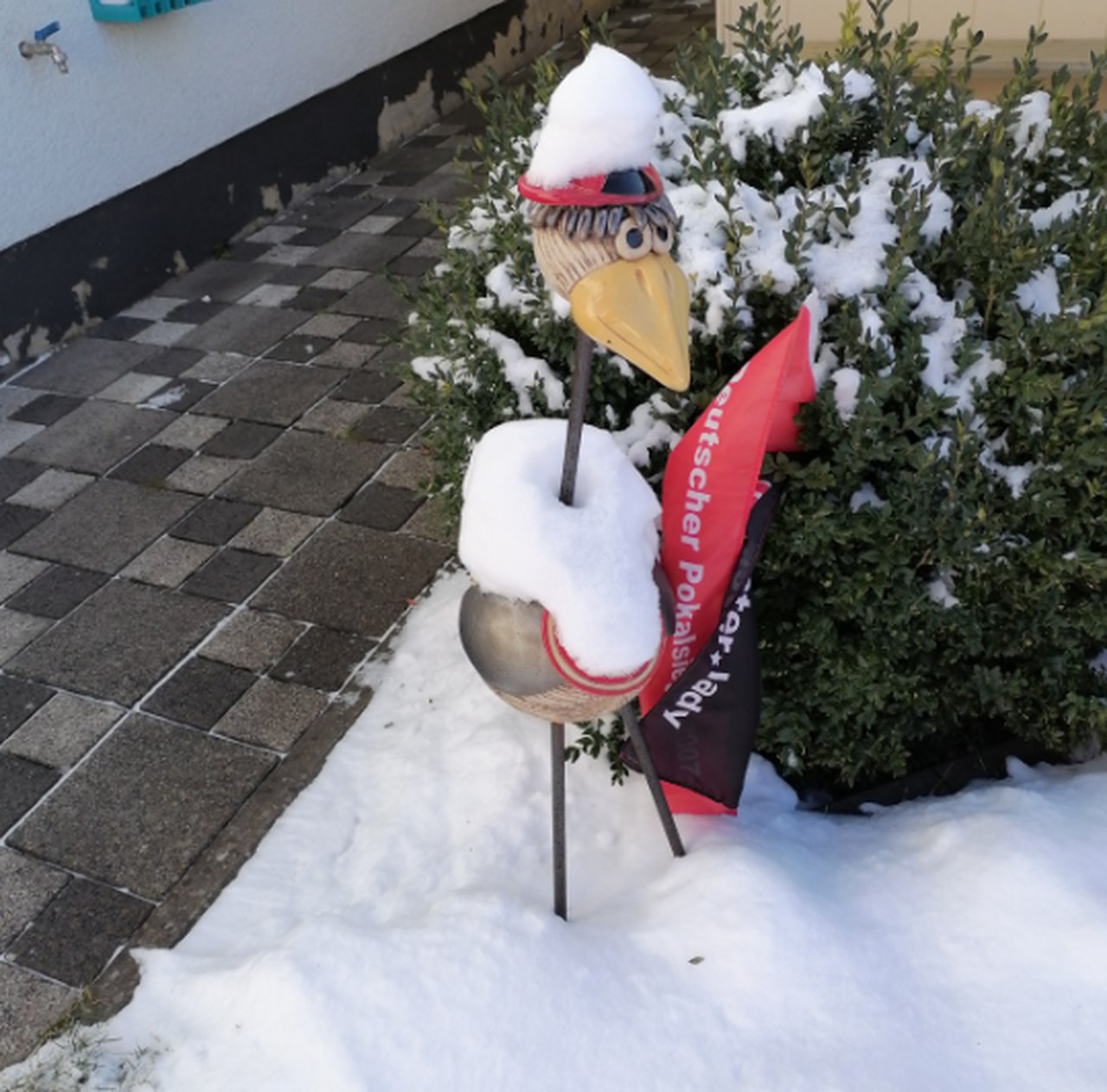 bild_2021-02-13_145116_easy-resize.jpg