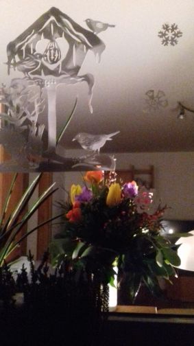 20210214_184155fenster_1.jpg