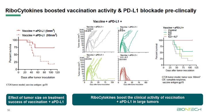 ribocytokines__stand_02_2021.jpg