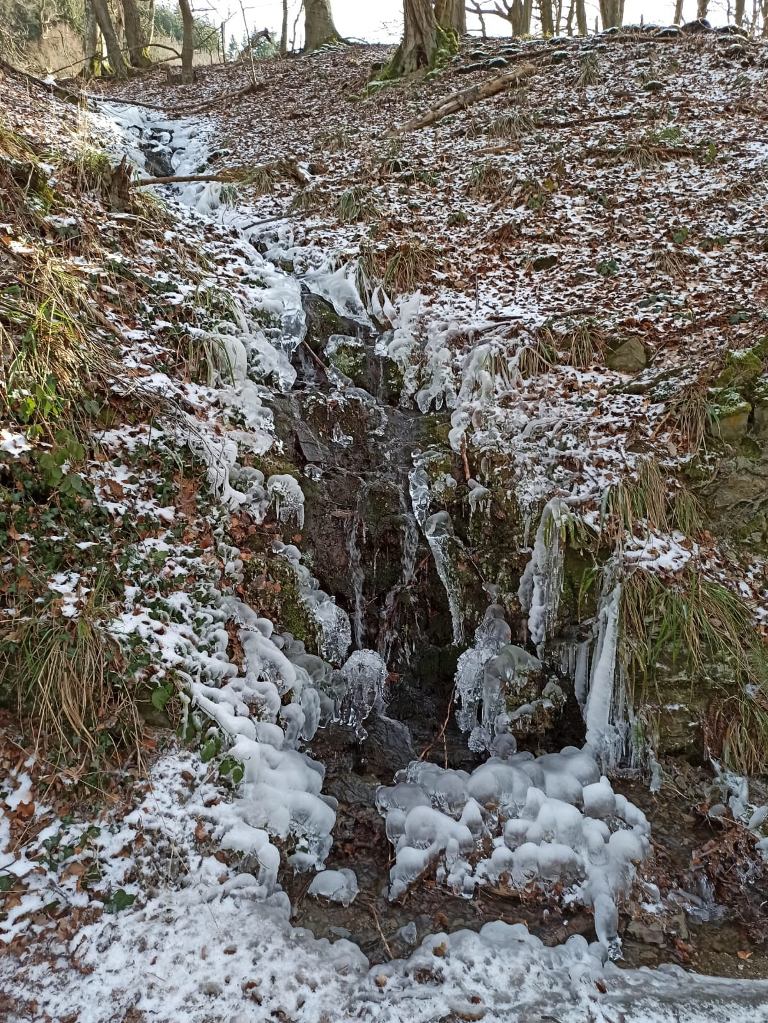 wie_schon_eis_im_wald.jpg