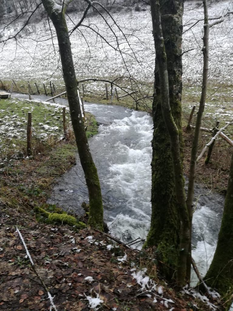 auch_viel_wasser.jpg