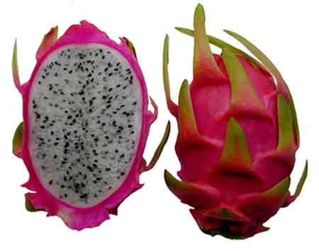 dragon_fruit.jpg