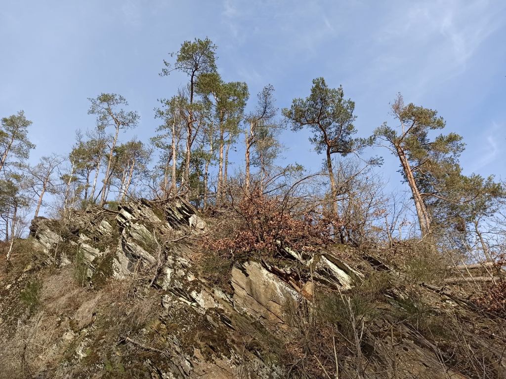 auf_dem_berg.jpg