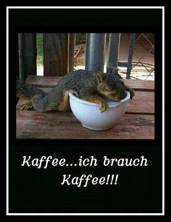 eichh__rnchen_kaffee.jpg