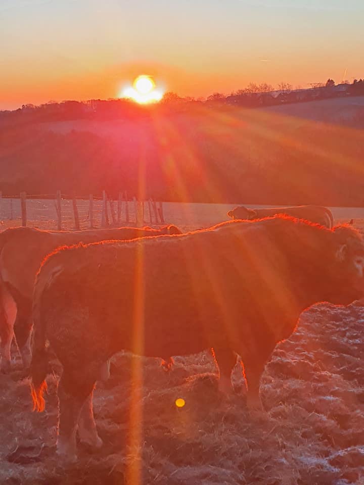 sonnenaufgang.jpg