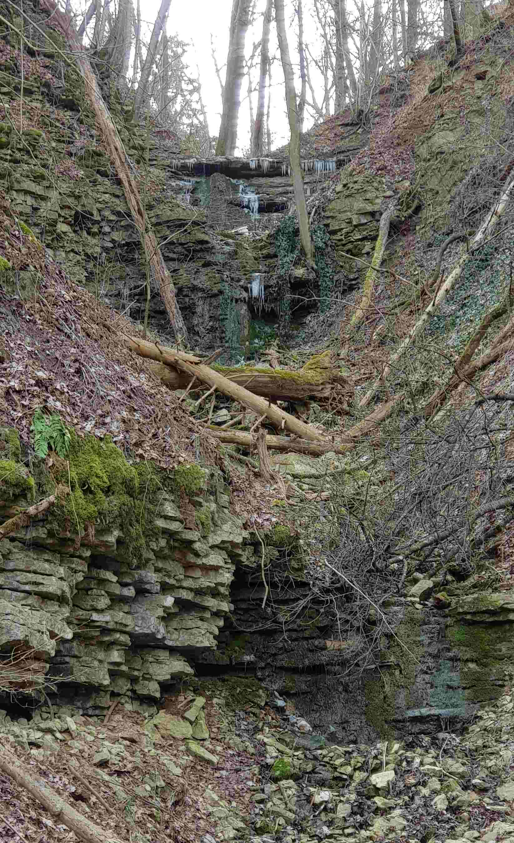20210307_151532_8505_.jpg