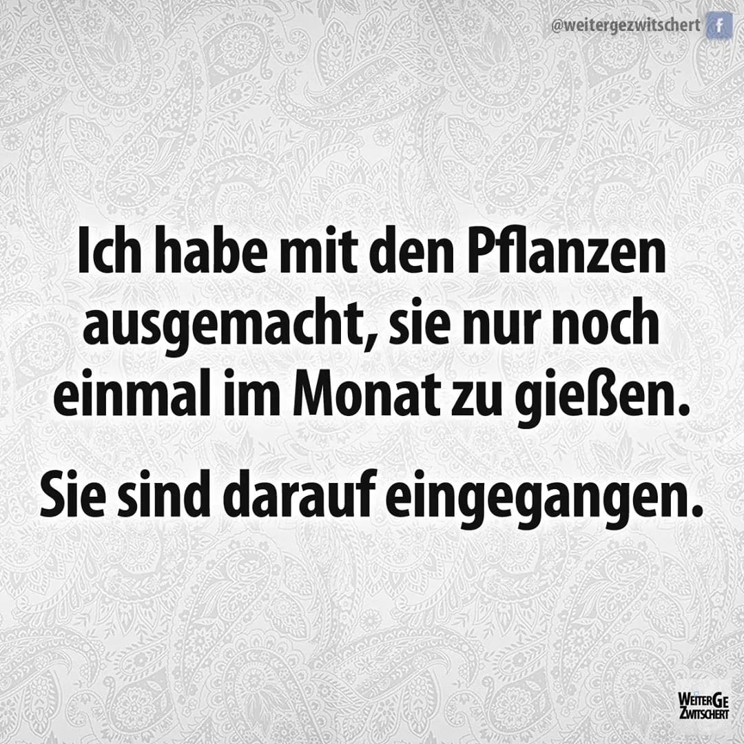 pflanzen_witzig.jpg