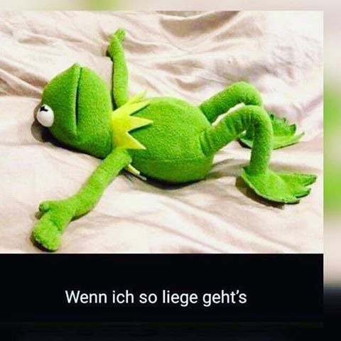 frosch.jpg