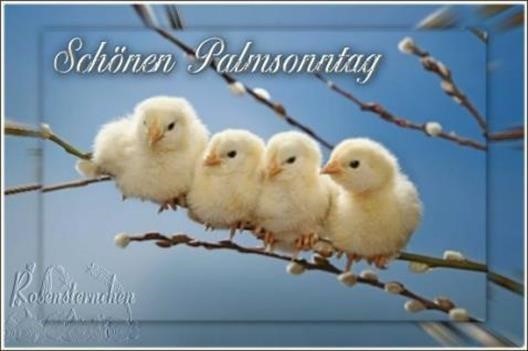 guten-morgen-bilder-palmsonntag_1.jpg