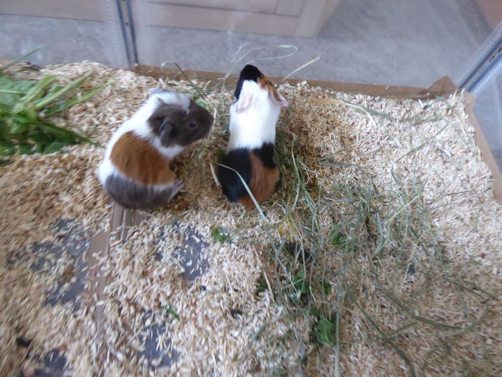 1100442.jpg