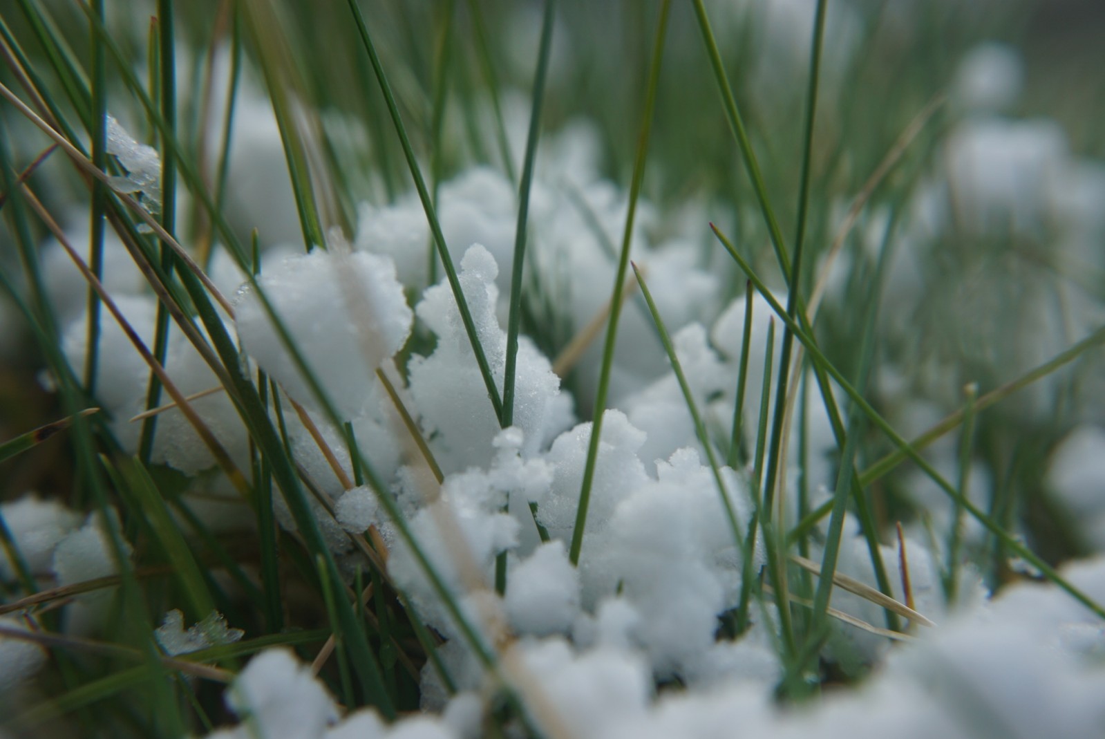 graupel_2021.jpg