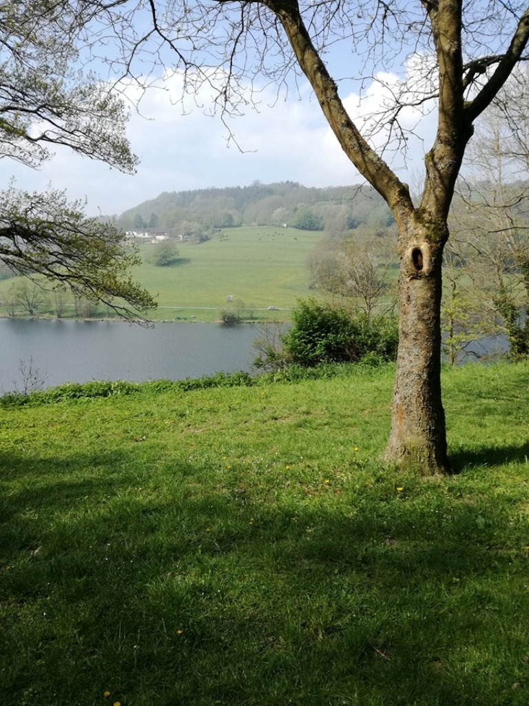rursee6.jpg