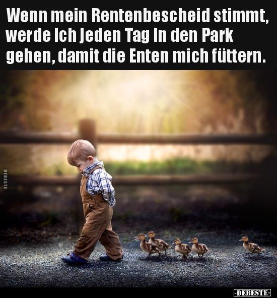 enten_f__ttern_rente.jpg