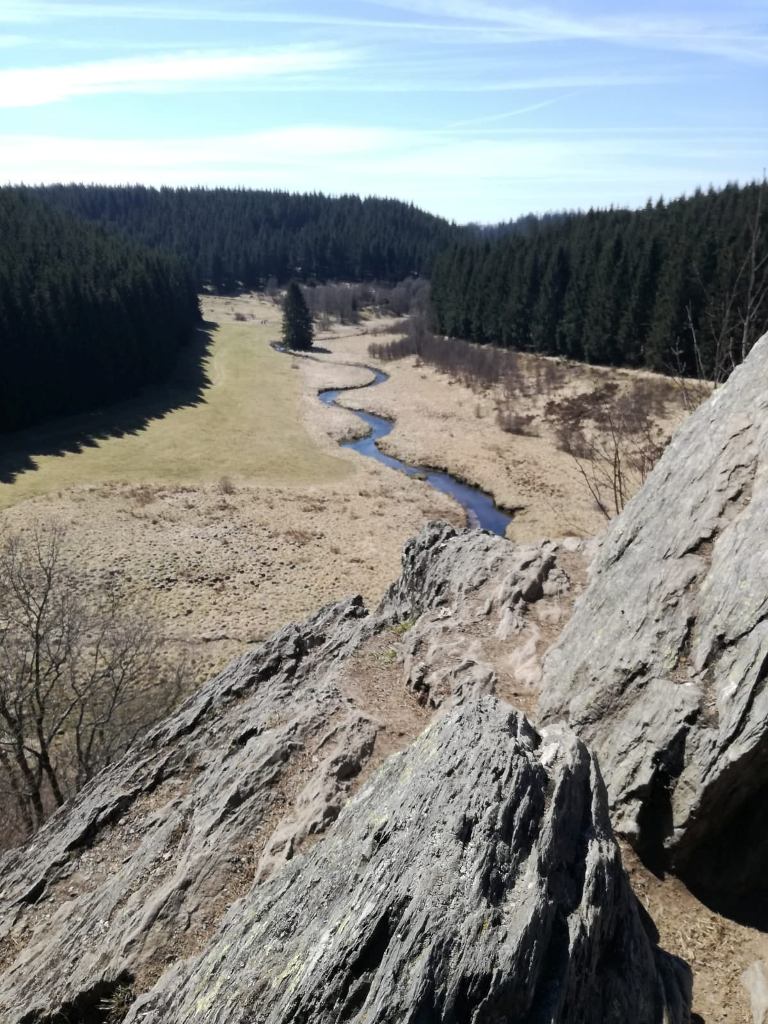 bachlauf.jpg