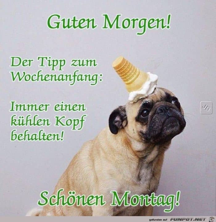 montag.jpg