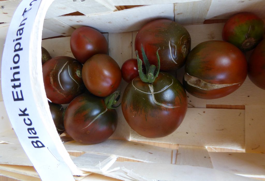 black_ethiopian_tomato1170667.jpg