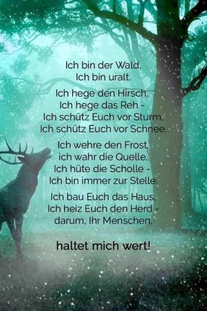 ich_bin_der_wald.jpg