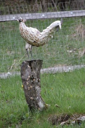 img_6235huhn.jpg