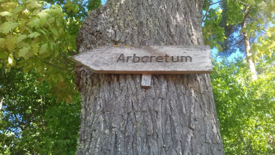 20210601_095454aboretum.jpg