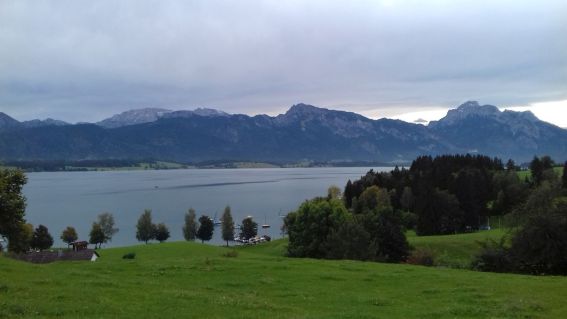 20201002_110853forgensee21.jpg