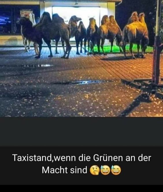 taxistand.jpg