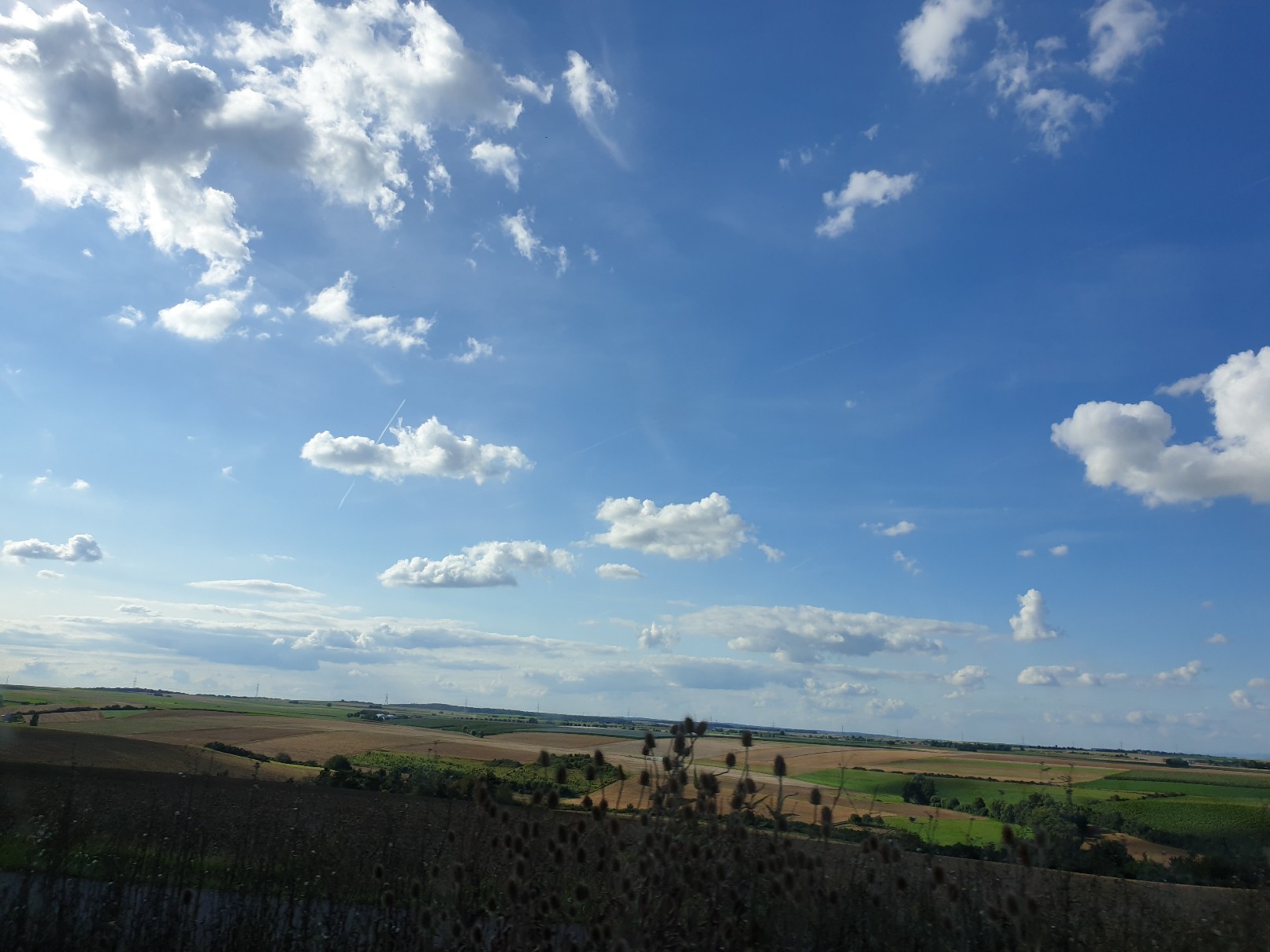 landschaft_franken_august_2021.jpg