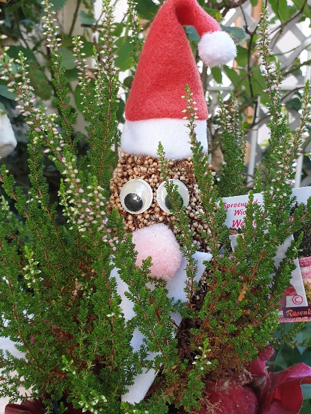 weihnachtswichtel.jpg