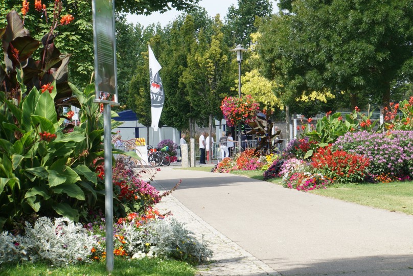 radweg_august_2021.jpg