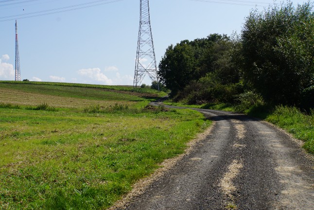 auf_dem_weg.jpg