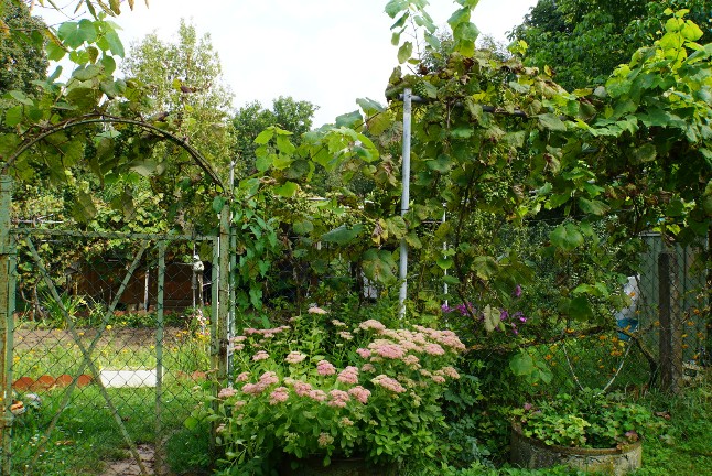 schrebergarten_marktsteft.jpg