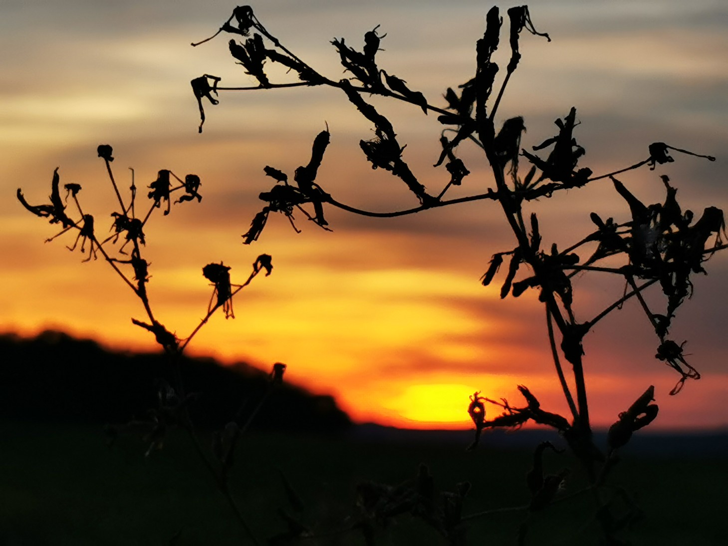 sonnenuntergang_4_sep_2021.jpg