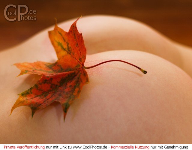 coolphotos_de_1002_08717_sexy_po_herbst.jpg