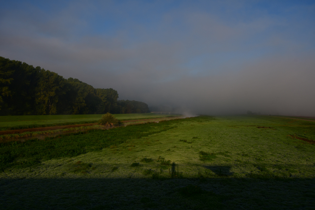 fog.jpg
