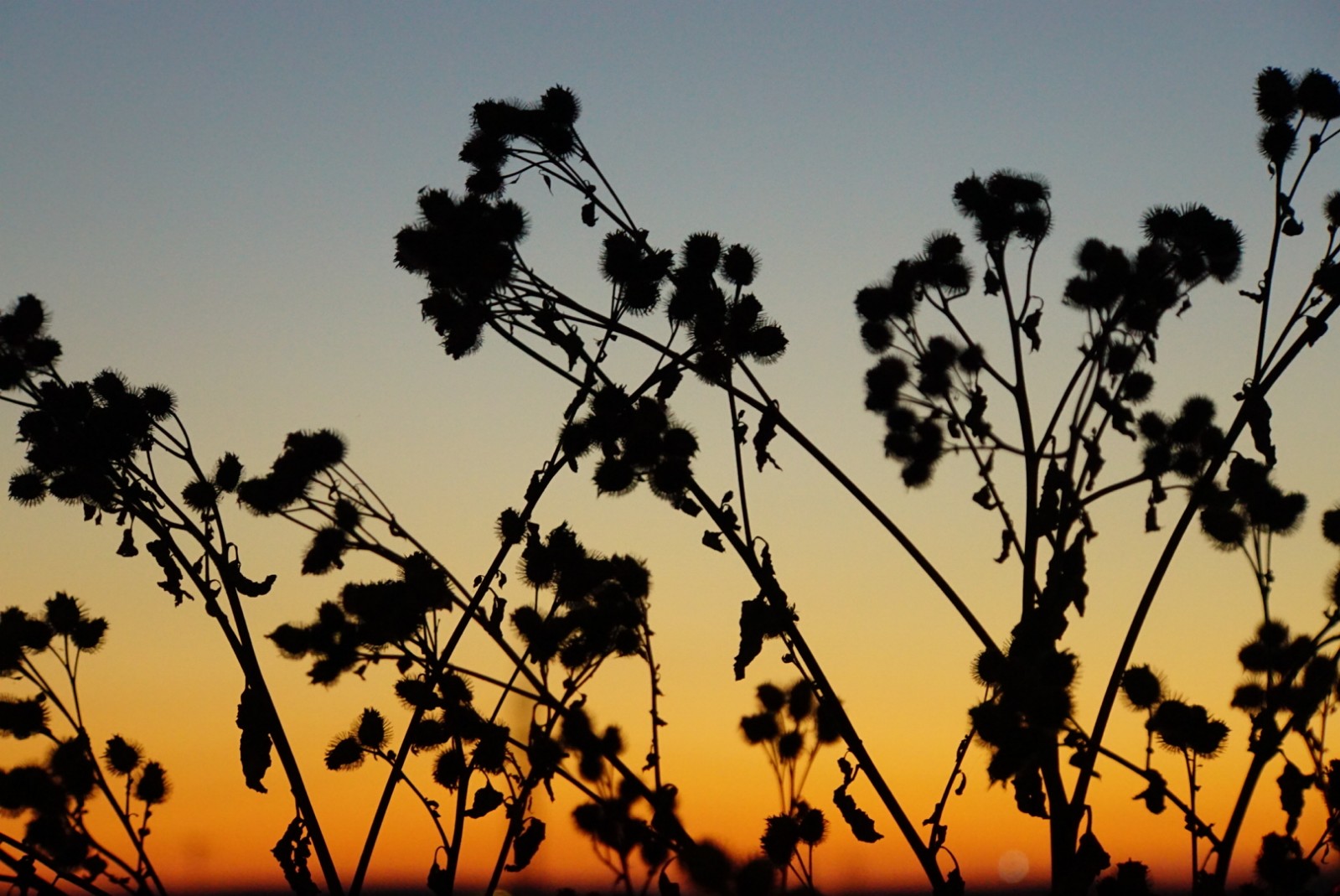 sonnenuntergang_3_okt_2021.jpg