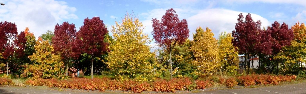 herbst.jpg