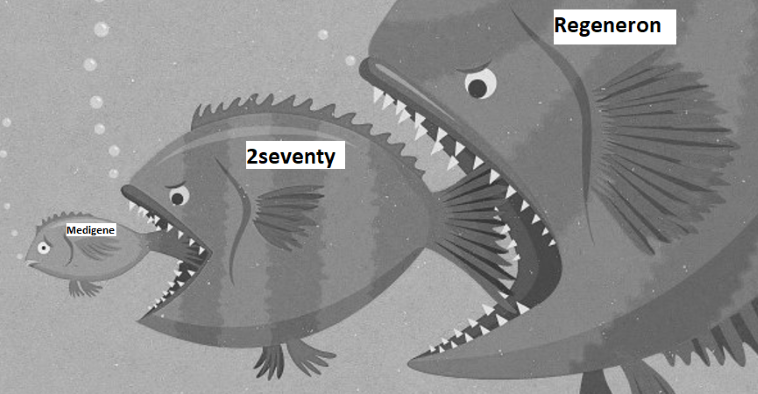 fische_sw1.png