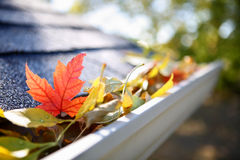 rain-gutter-full-of-autumn-leaves-85212530.jpg