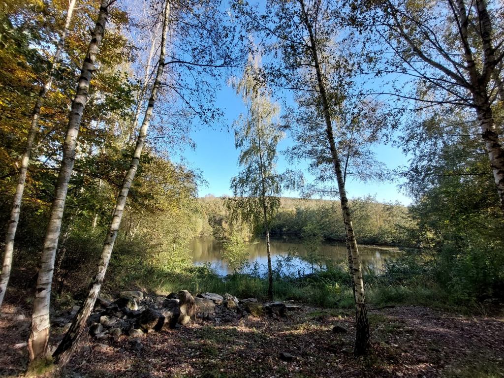 teil_in_der_eifel.jpg