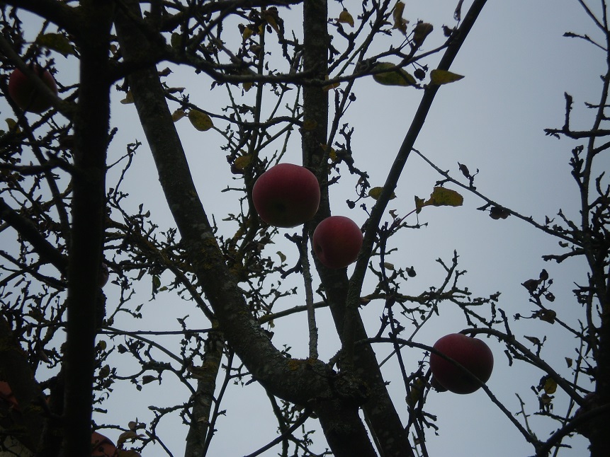 p1010583.jpg