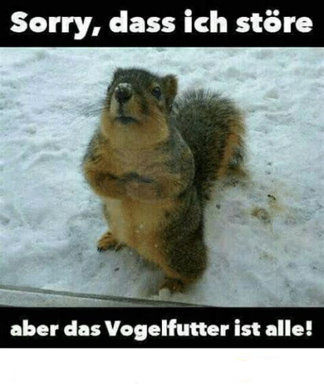 vogelfutter.jpeg