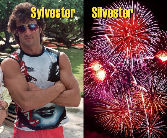 sylvester-silvester.jpg