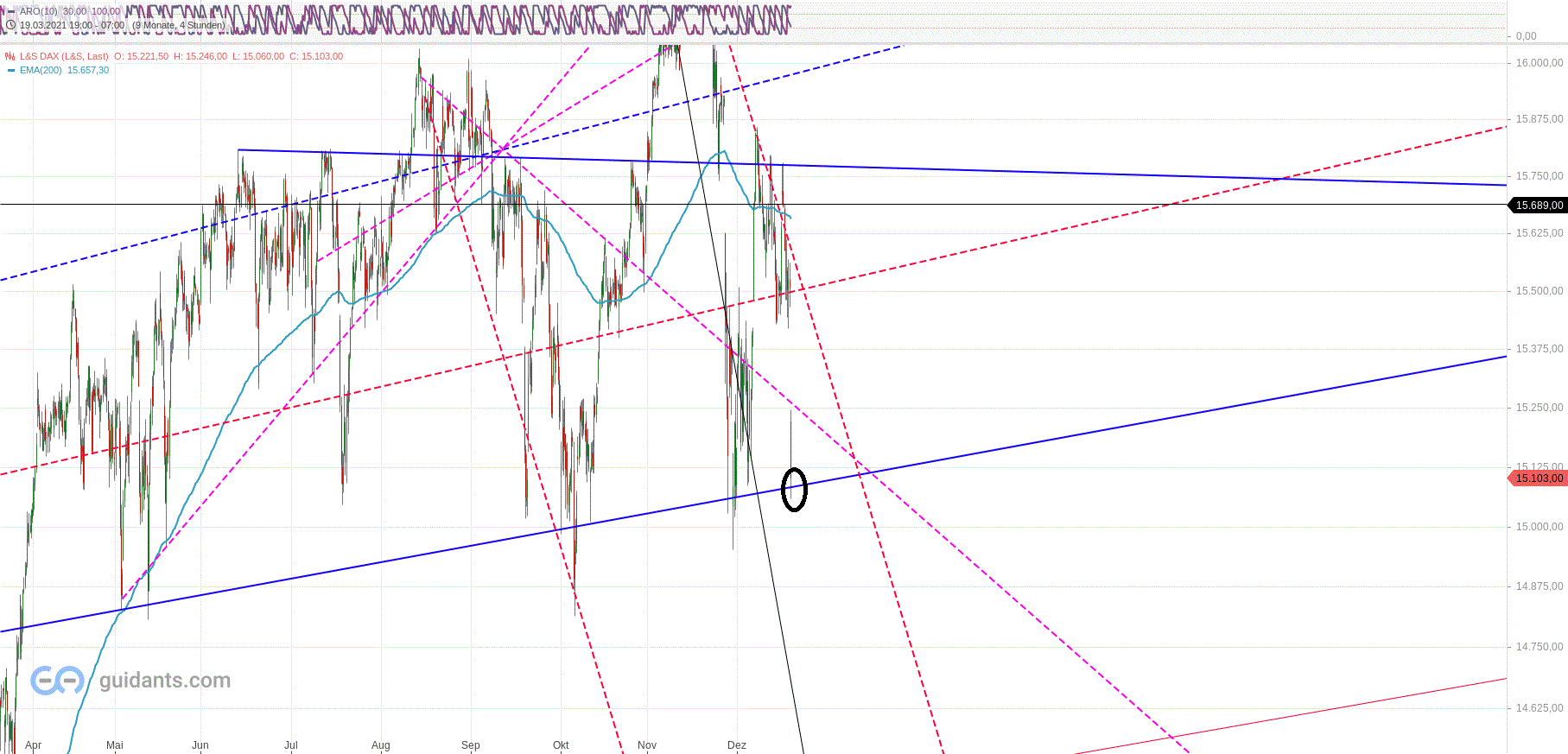 dax_den_20.gif