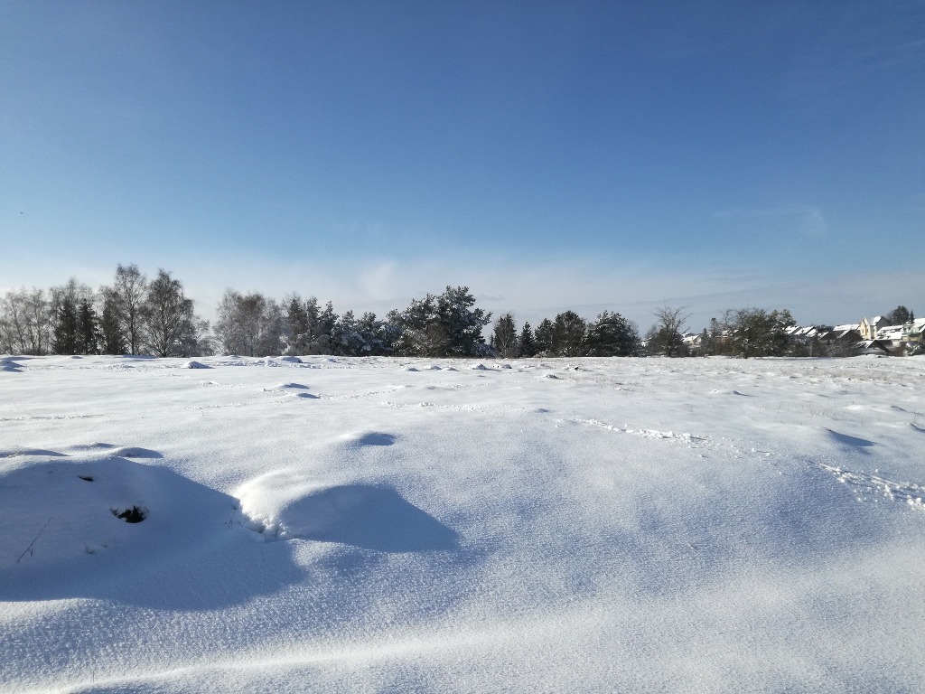 schnee_in_roetgen.jpg