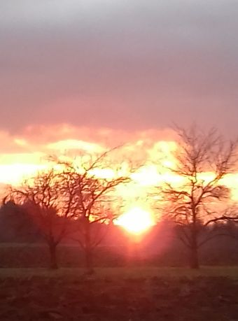 20211220_162203untergang.jpg