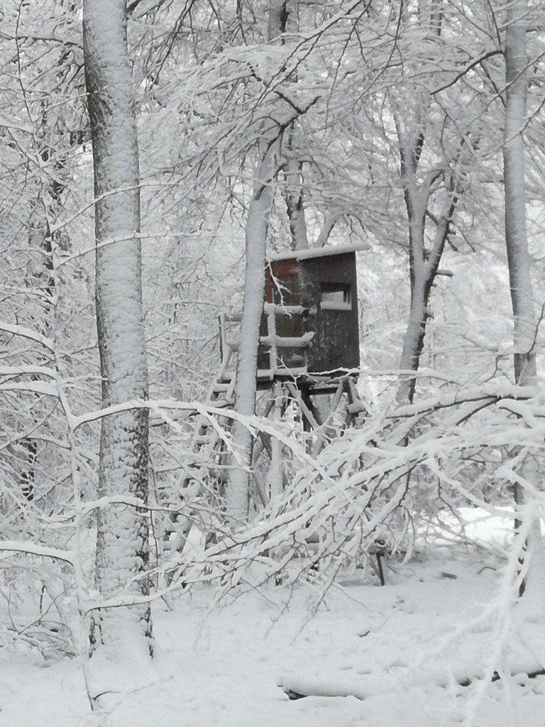 hochsitz_im_schnee.jpg