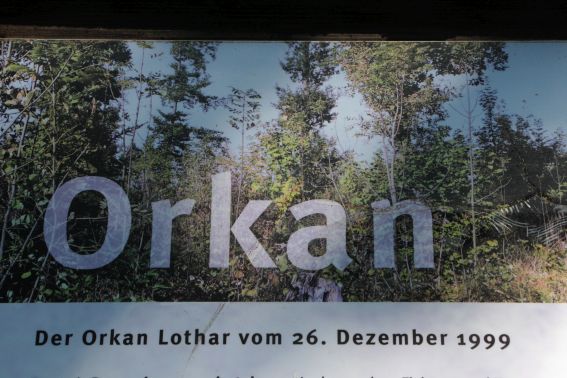 img_6961orkan.jpg